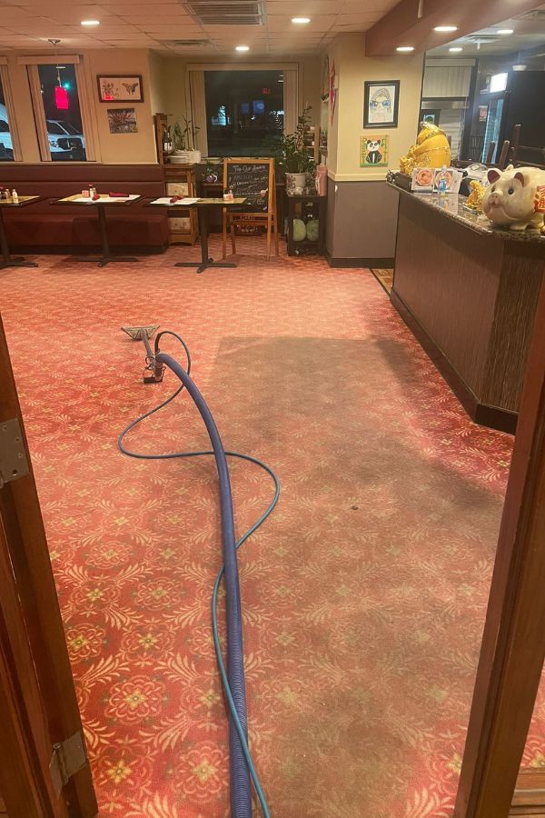 Commercial Carpet Cleaning in Woodlands, TX