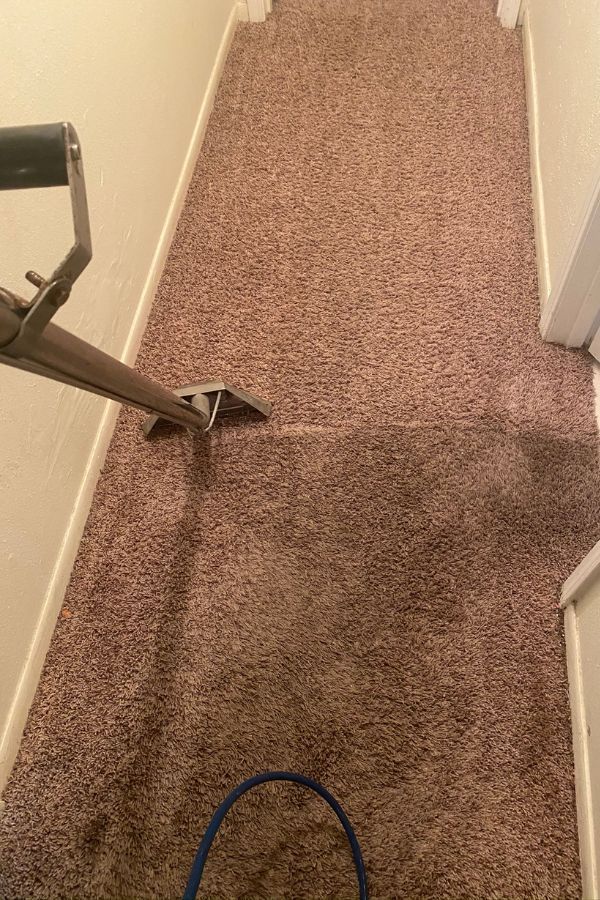 Carpet Cleaning in Humble TX