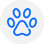 Pet Stain Cleaning icon